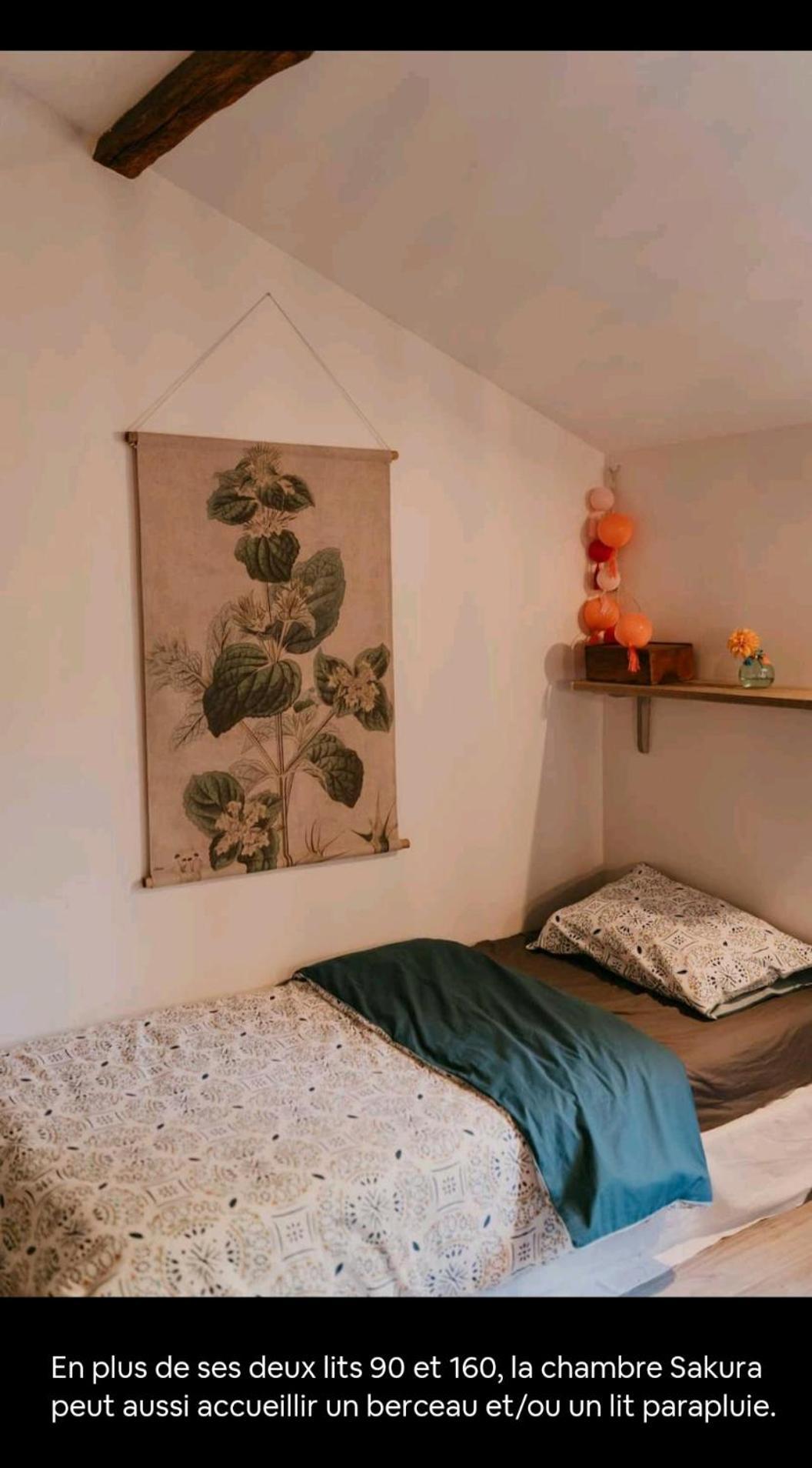 Cocon Cosy Et Deconnecte 30Min Puy Du Fou - 2 Chambres Et 1 Canape Lit Bazoges-en-Pareds Extérieur photo